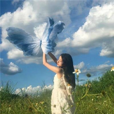 鲨鱼鳍